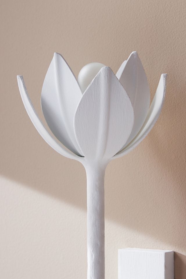 Alberto Sconce #3