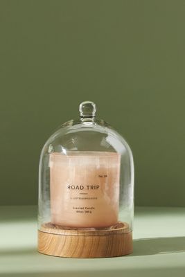 Nostalgia Cloche