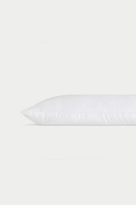 Cozy Earth Silk Pillow
