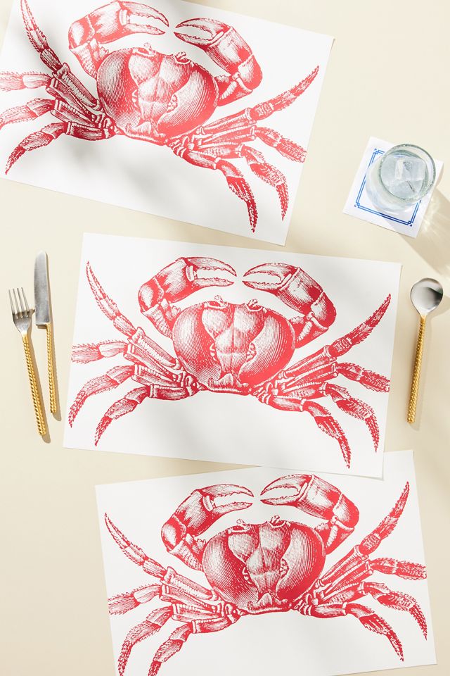 Hester and Cook Placemat Set Anthropologie