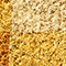 Maize
