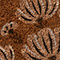Neutral