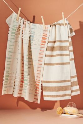 Braden Dish Towels, Set of 2