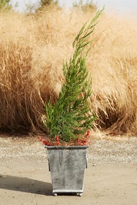 Ring Handle Iron Taper Planter, 15"