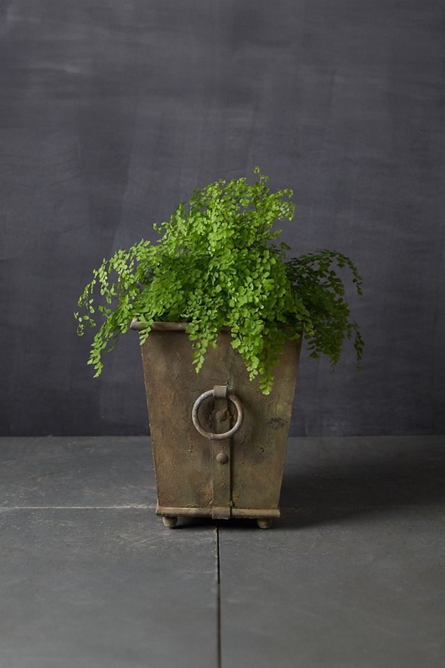 Ring Handle Iron Taper Planter, 15" #2