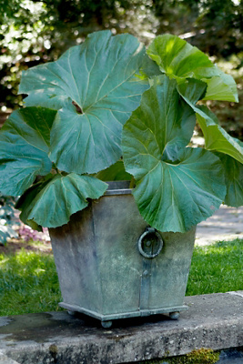 Terrain Ring Handle Iron Taper Planter, 20" In Green