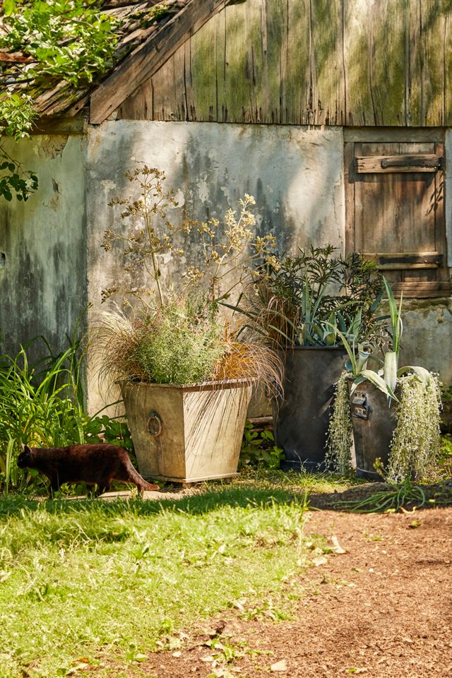 Ring Handle Iron Taper Planter, 20" #4