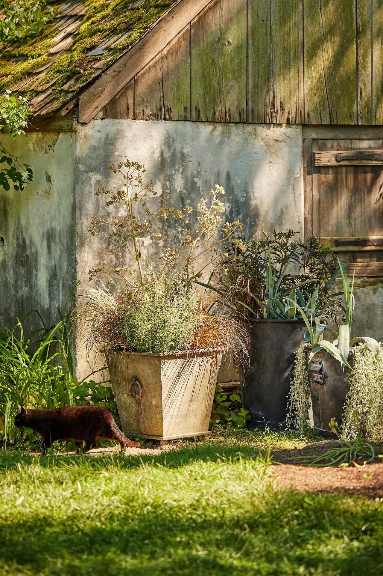 Galvanized Ring Handle Planter