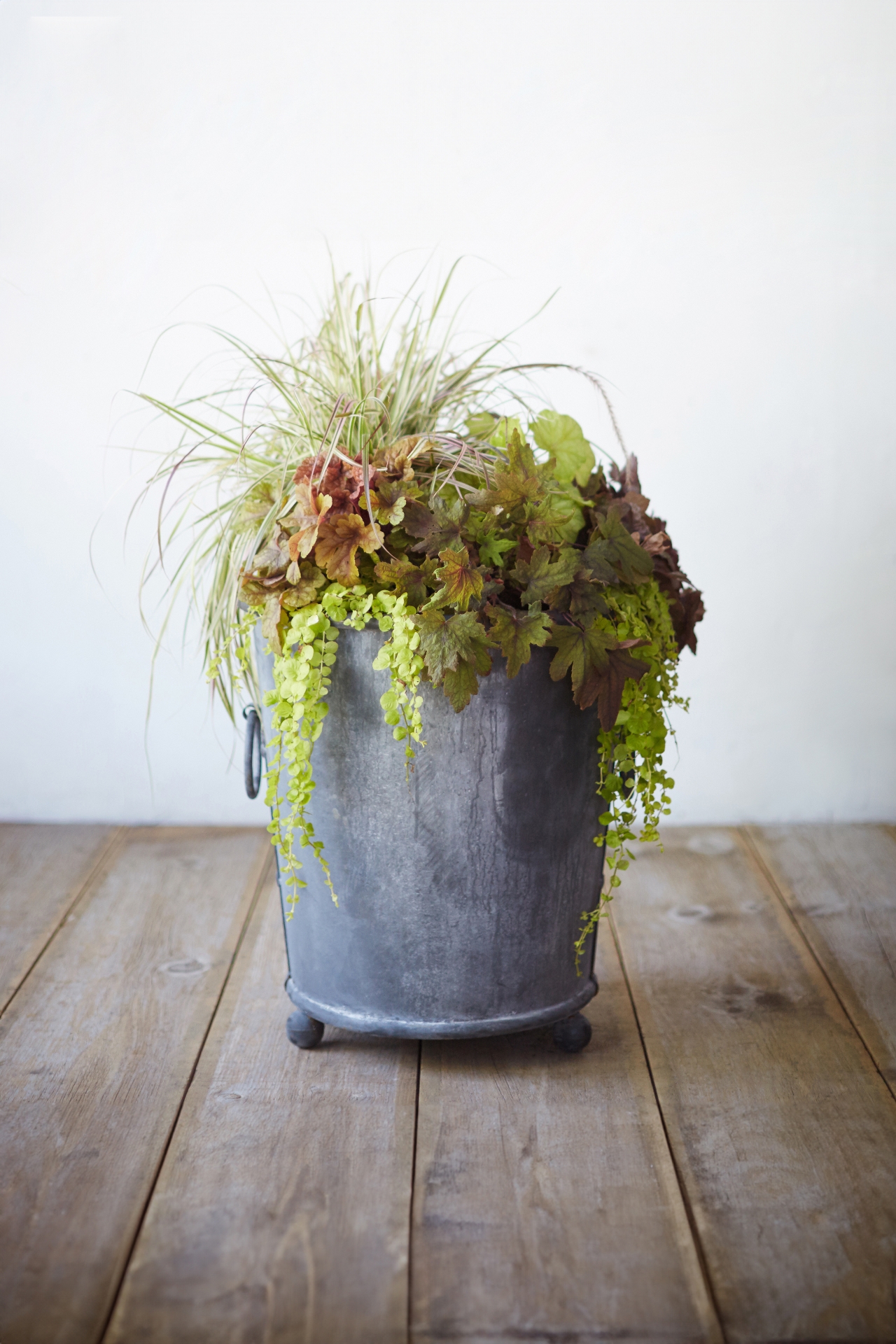 Galvanized Ring Handle Planter