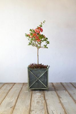 Cross Frame Iron Planter