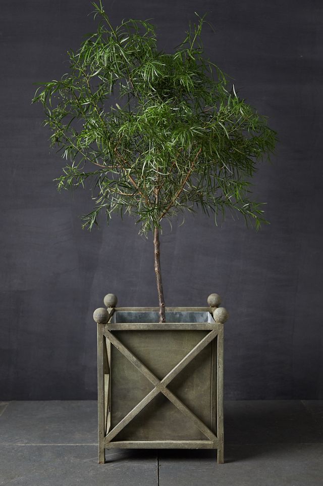 Cross Frame Iron Planter #4