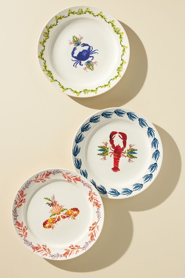 August Wren Dinner Plate #1