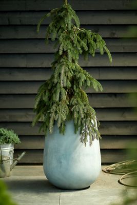 Fiber Concrete Tall Rounded Pot, 22"