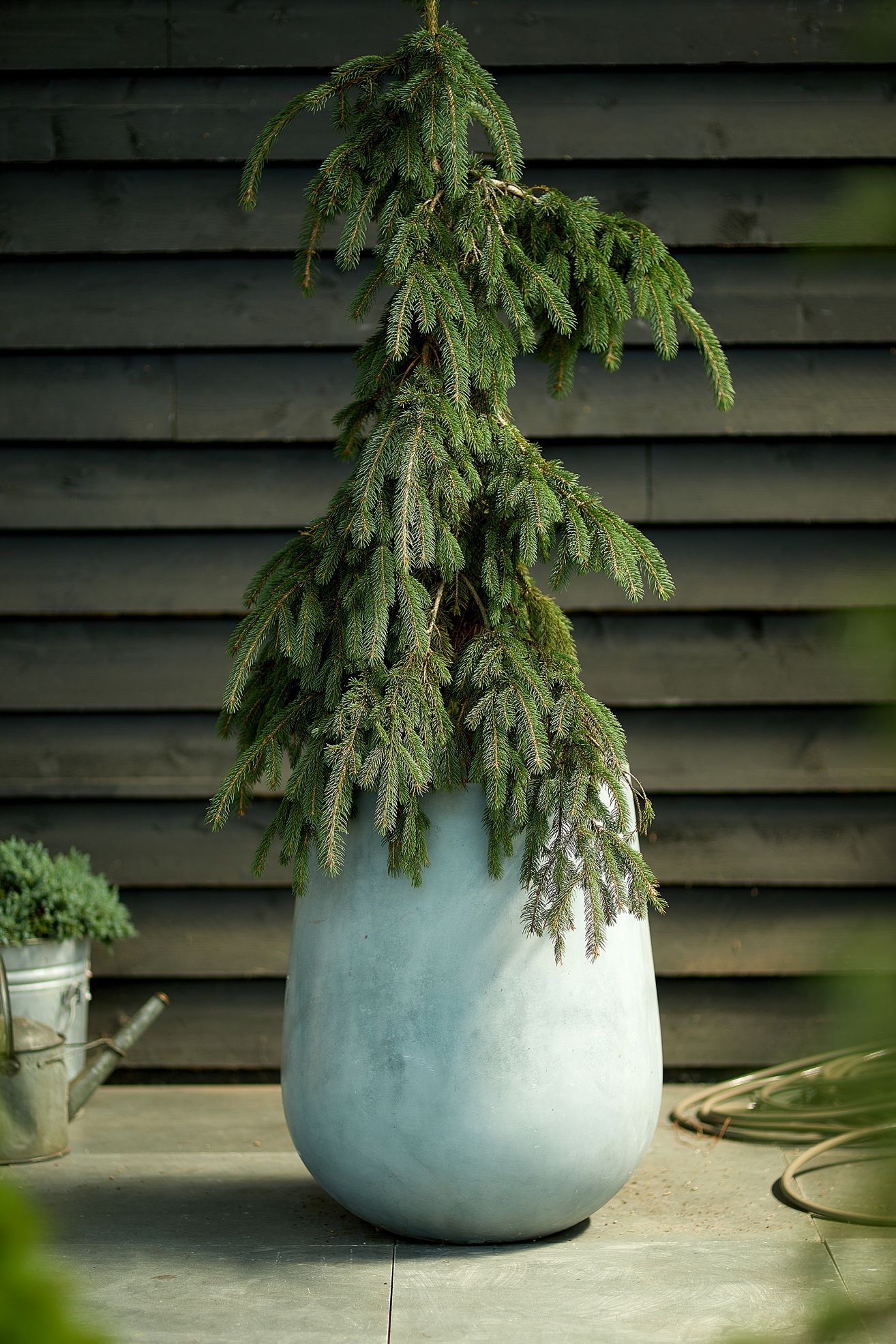 Fiber Concrete Tall Rounded Pot, 22" - Blue, 22"
