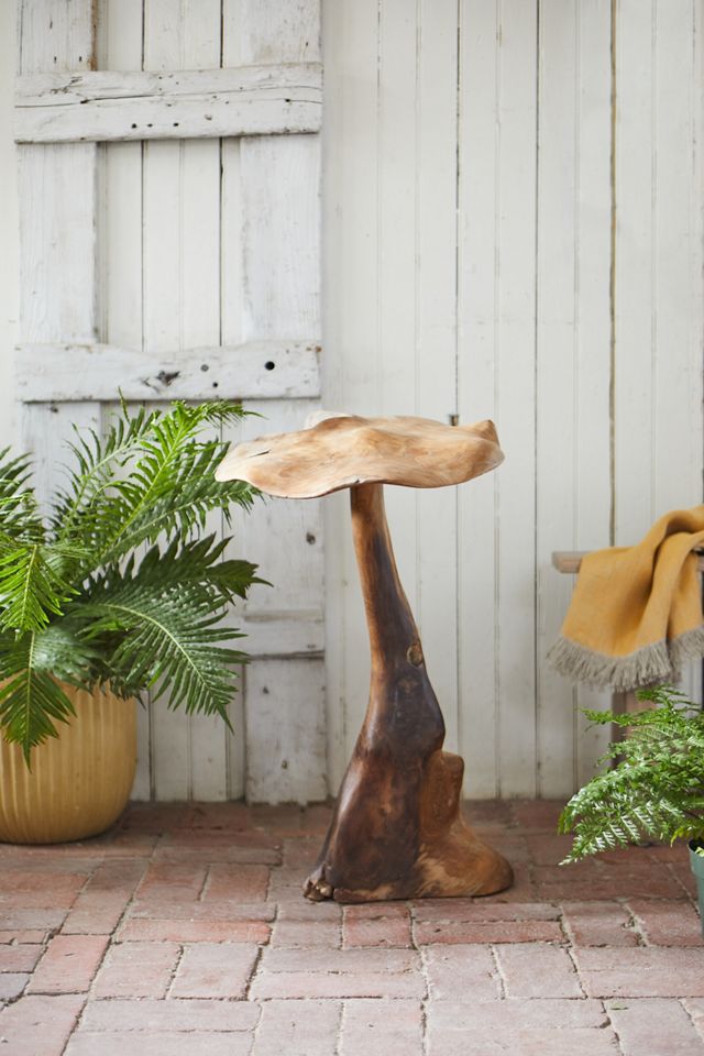 Teak Mushroom, Large #2