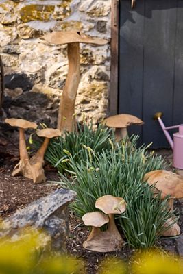 Teak Mushroom, Large