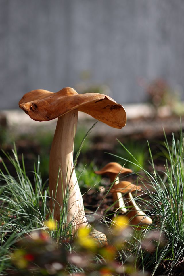 Teak Mushroom, Pair #2