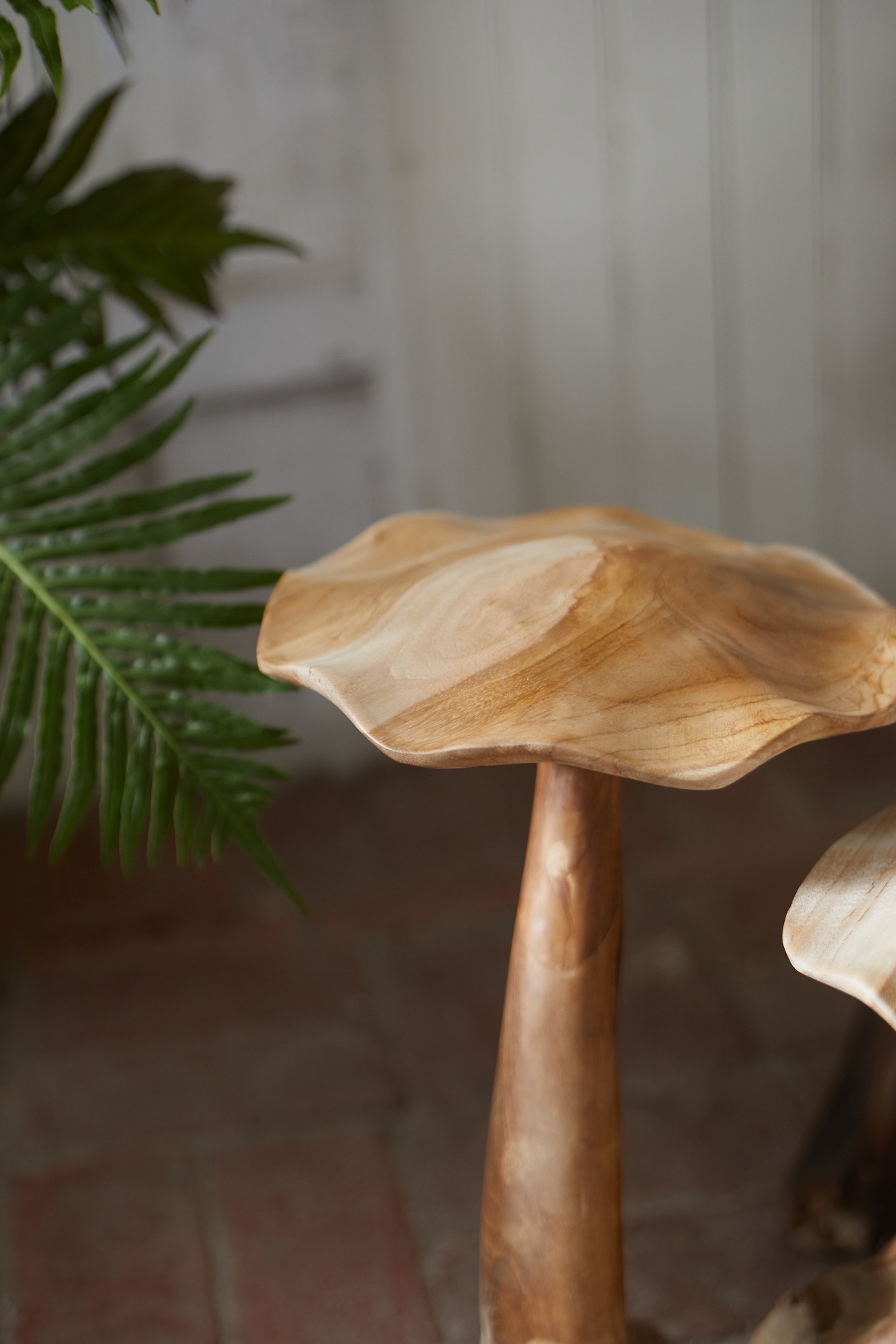 Teak Mushroom, Pair