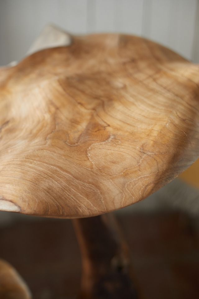 Teak Mushroom, Pair #6