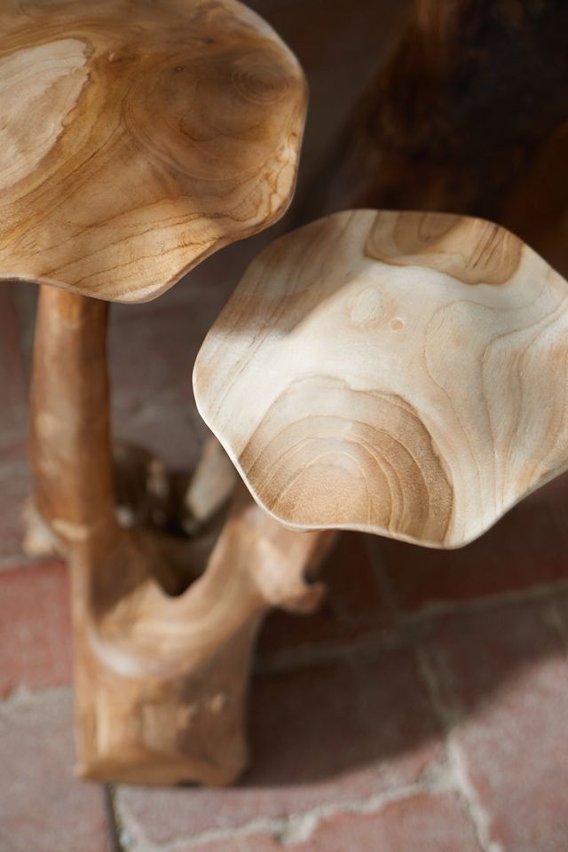 Teak Mushroom, Pair #1