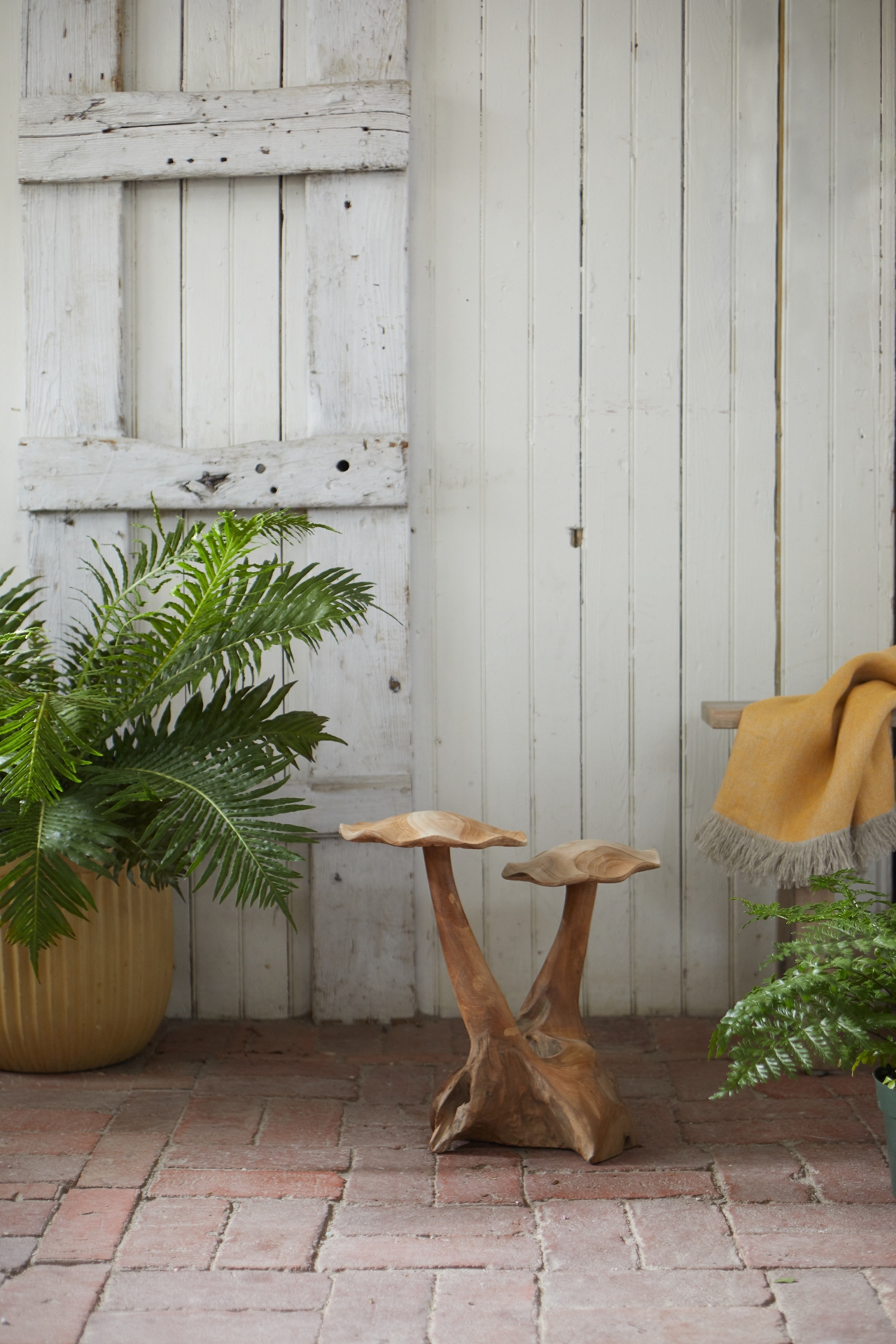 Teak Mushroom, Pair