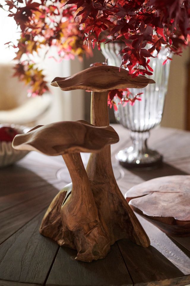 Teak Mushroom, Pair #1