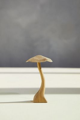 Teak Mushroom, Extra Small