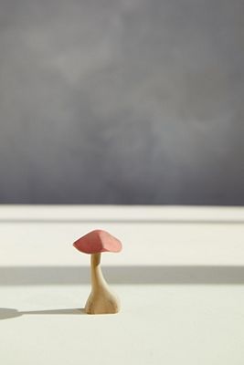 Teak Mushroom, Mini