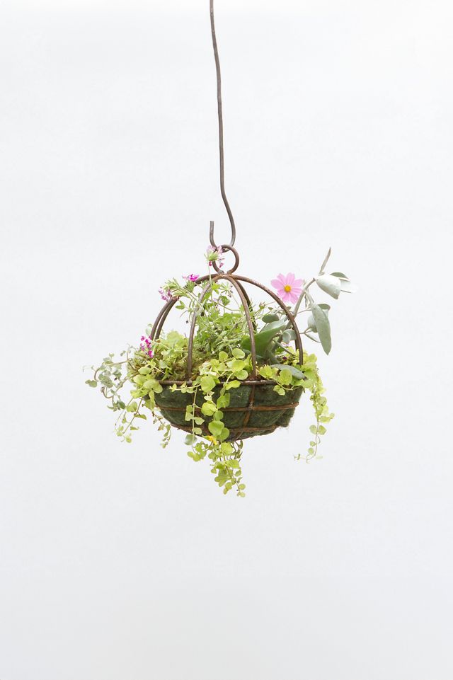 Sphere Rust Patina Hanging Basket, Small #1