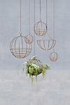 Sphere Hanging Basket, 11"