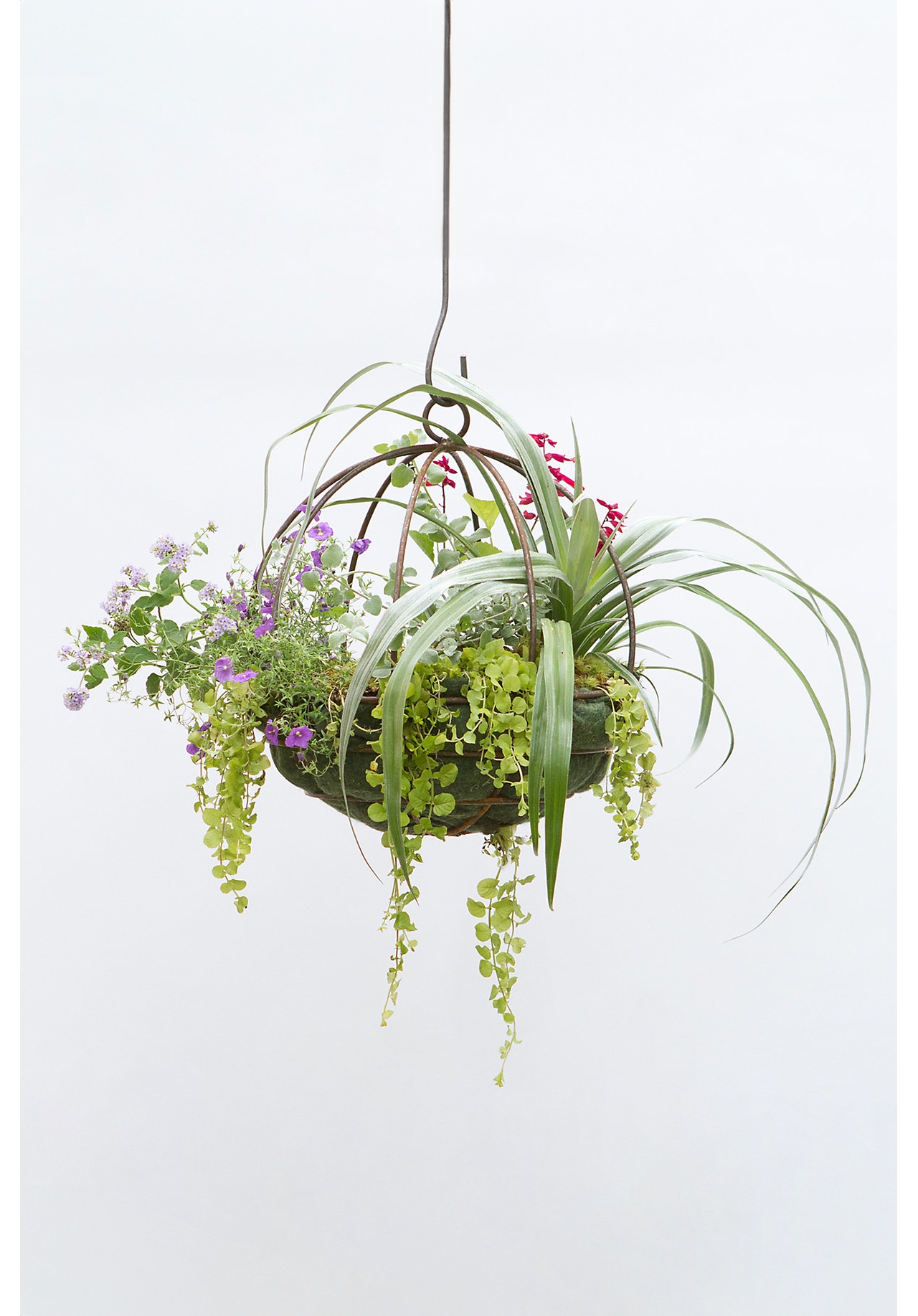 Sphere Hanging Basket