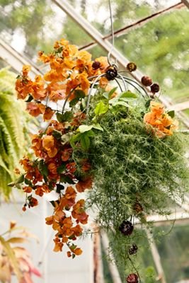 Sphere Rust Patina Hanging Basket, Medium