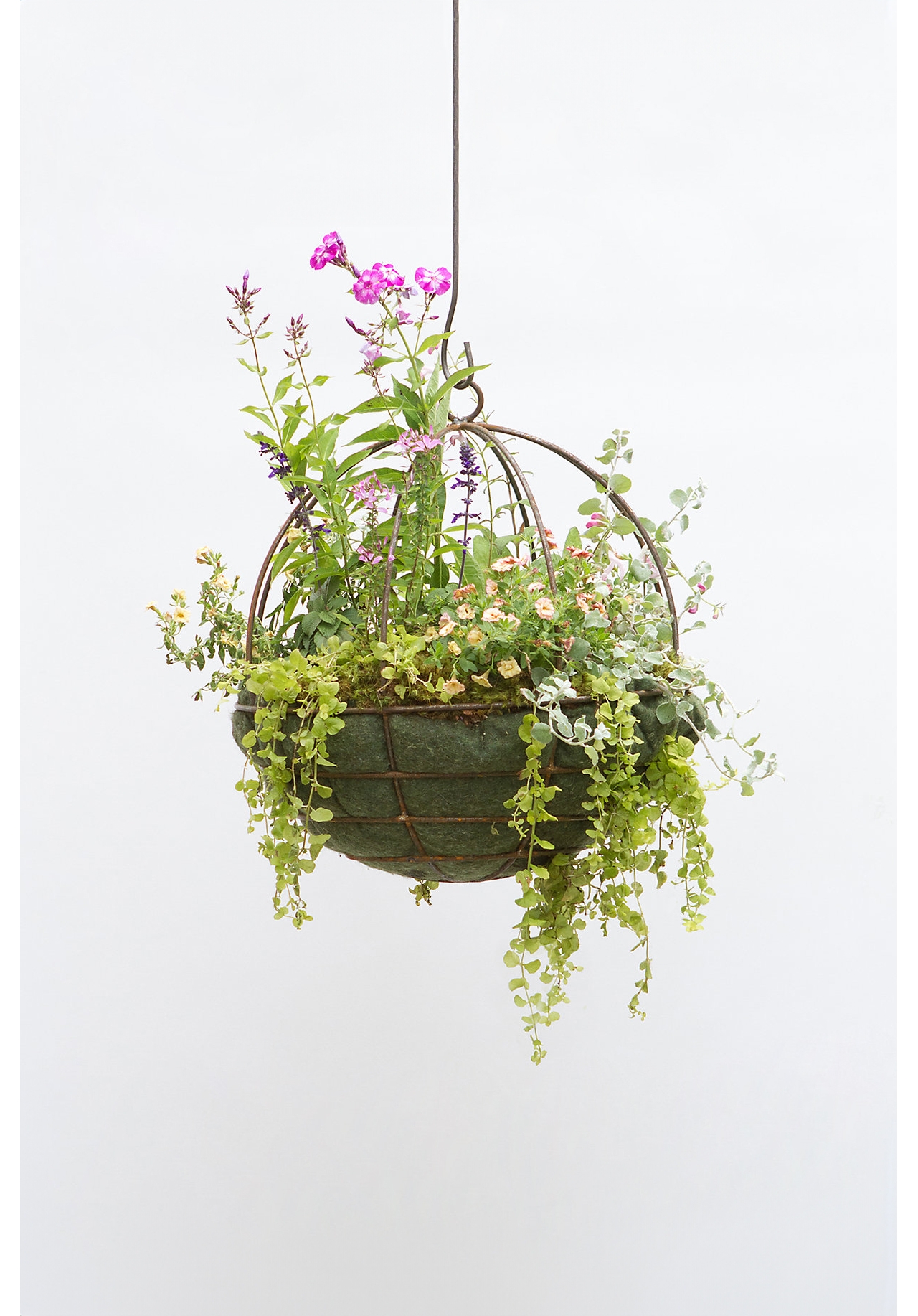 Sphere Hanging Basket