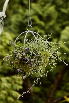 Zinc Sphere Hanging Basket, Small