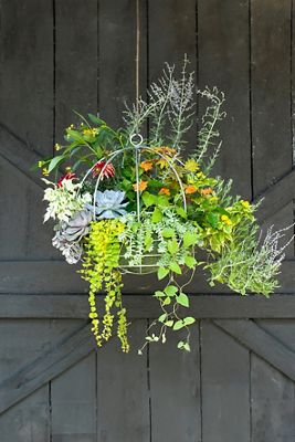 Zinc Sphere Hanging Basket, Medium