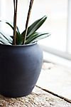 Charcoal Ceramic Rounded Planter #2
