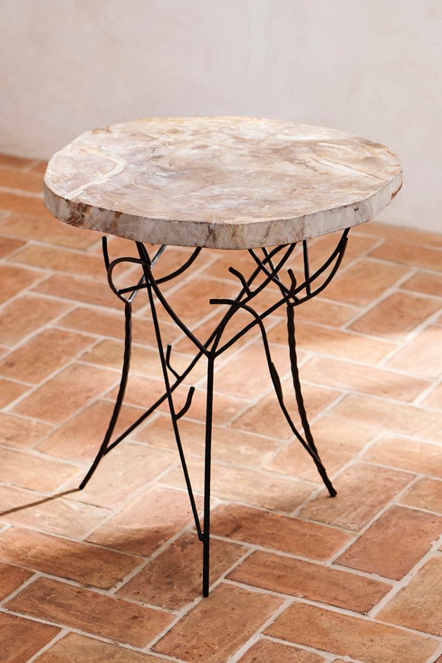 Petrified Wood Side Table #3