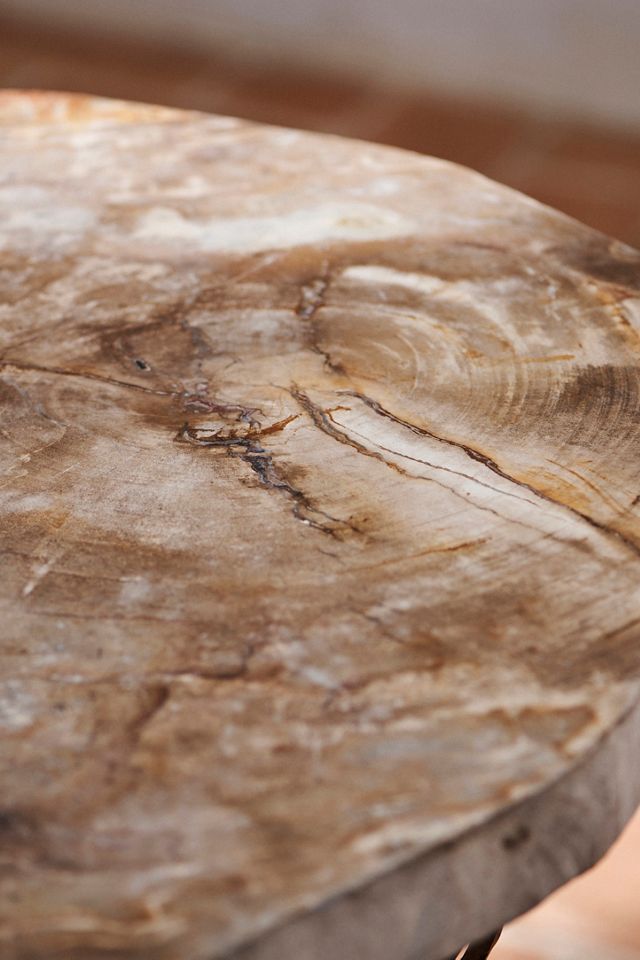Petrified Wood Side Table #4