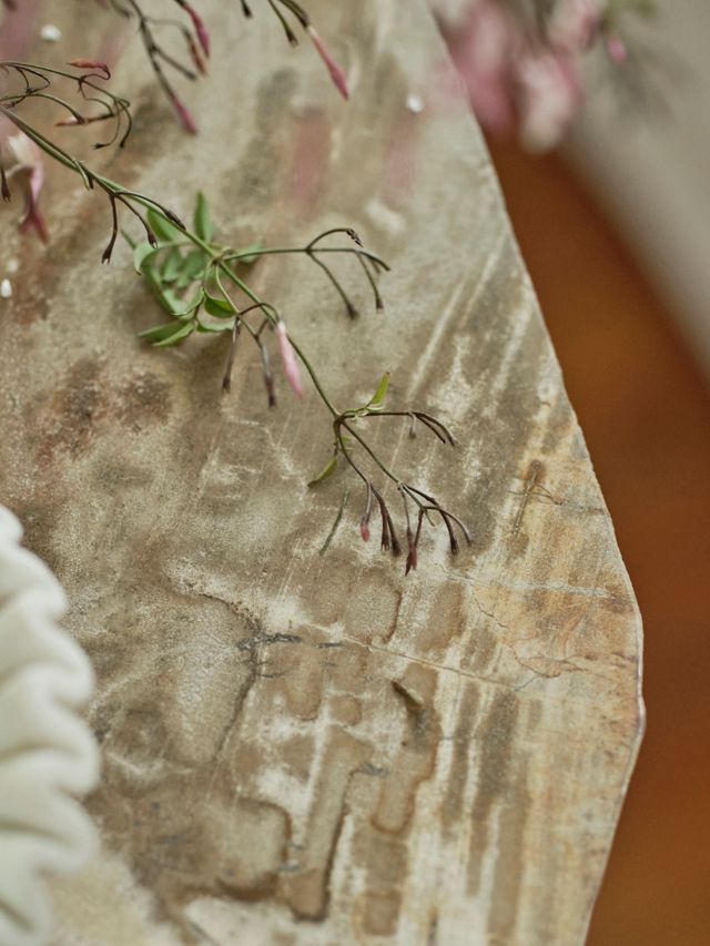 Petrified Wood Side Table #1