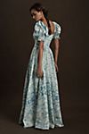 Selkie The Renaissance Gown | Anthropologie