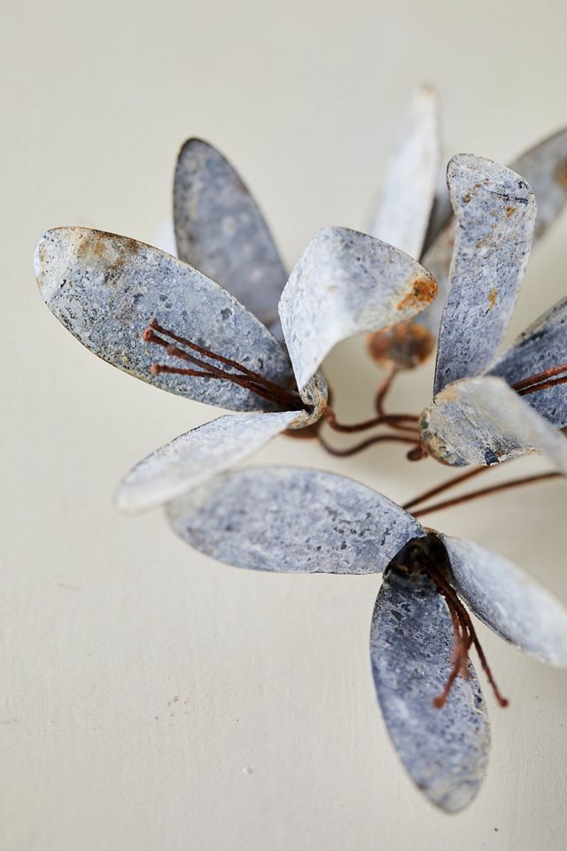 Snowdrop Aged Iron Bundle #1