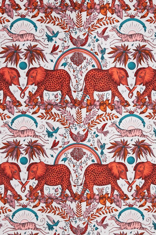 Zambezi Wallpaper #1