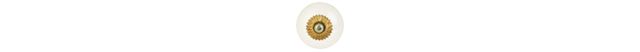 Zinnia Knob, Small #2