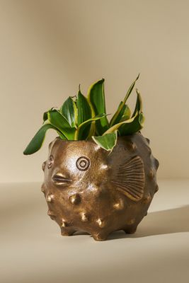 Blowfish Garden Pot
