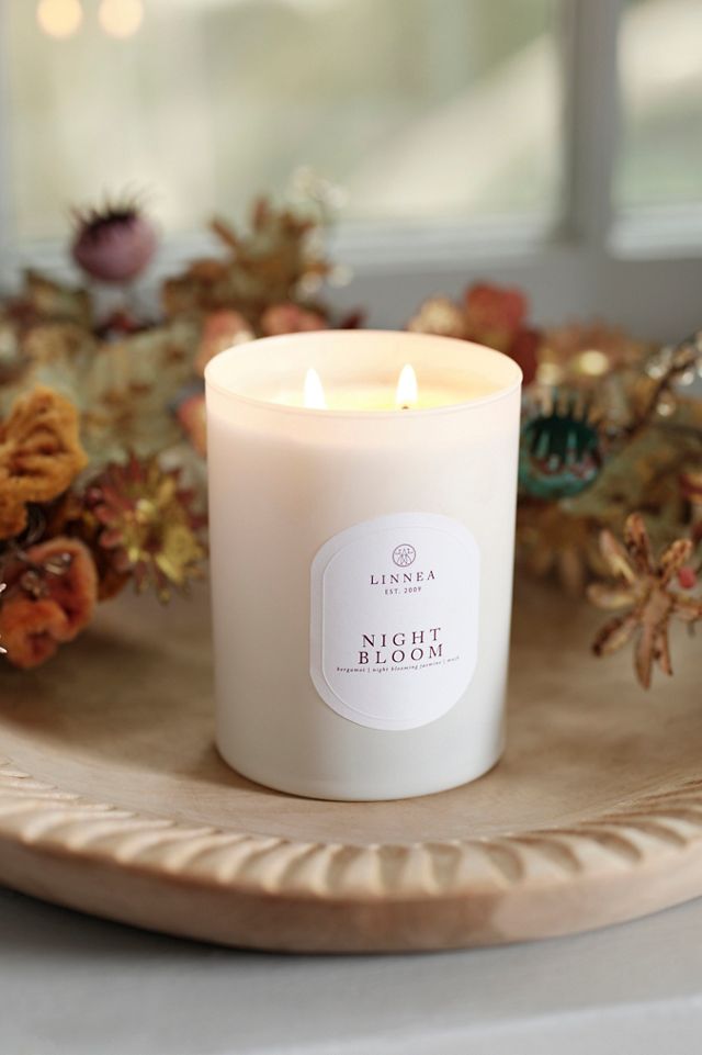 Song of the North - Dry flower candle – Branches in Bloom