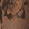 Cocoa Brocade