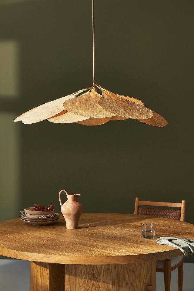 Petal pendant deals light