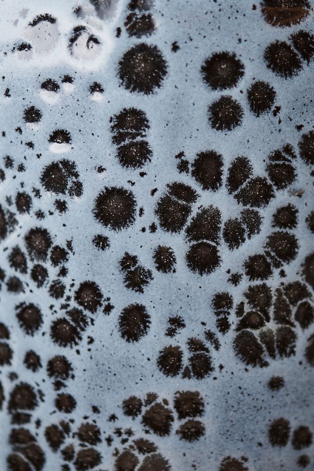 Spotty Ceramic Planter, 6" #1