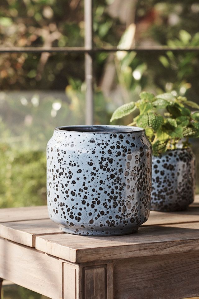 Spotty Ceramic Planter, 6" #2