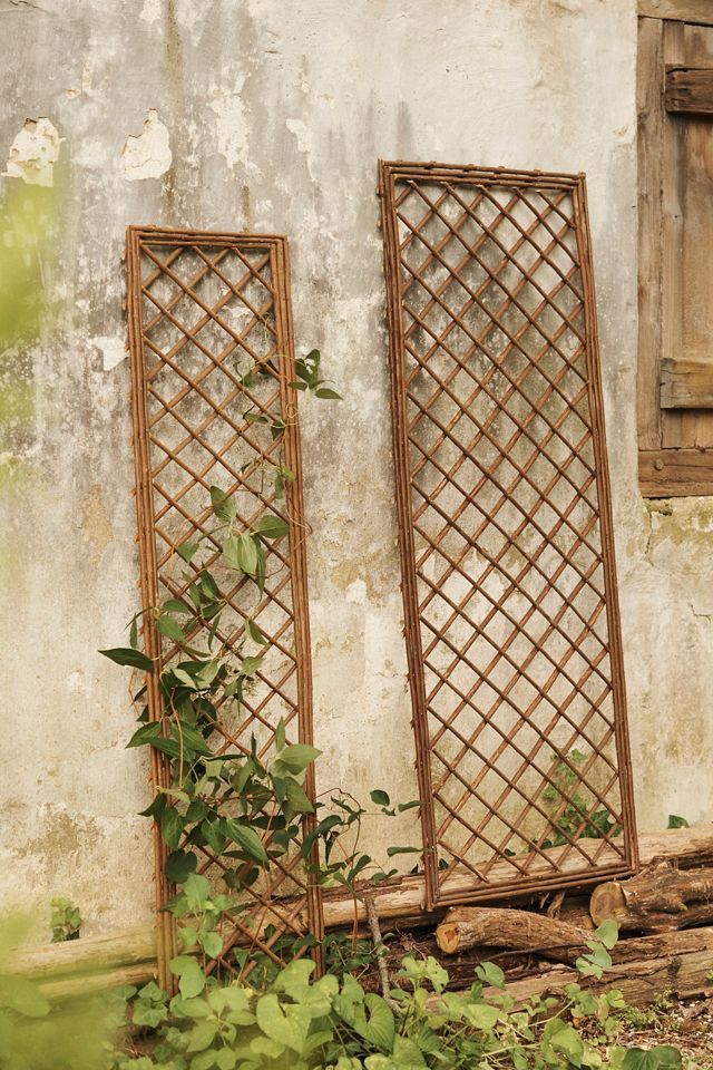 Rectangle Willow Trellis, Set of 2 Large #1